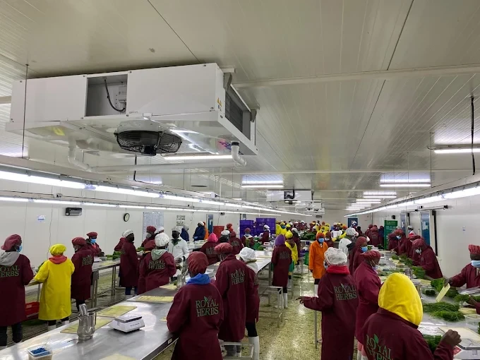 Industrial solar installation